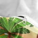 thumbnail image 4 of Dibujos animados Edredón Cubierta Hogar Essentials Conjuntos de cama Conjuntos de almohadas Cubiertas de almohadas Multicolor Múltiples Tamaño Edredón Conjunto Adolescente Boy Regalos M 3 Piezas seitruly HA011561-06, 4 of 7