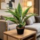 thumbnail image 5 of Plantas artificiales en maceta | Vegetación artificial para la decoración del hogar | Follaje realista de PVC para sala de estar, oficina y dormitorio, 5 of 6
