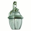 Forte Lighting 1-Light Outdoor Wall Lantern