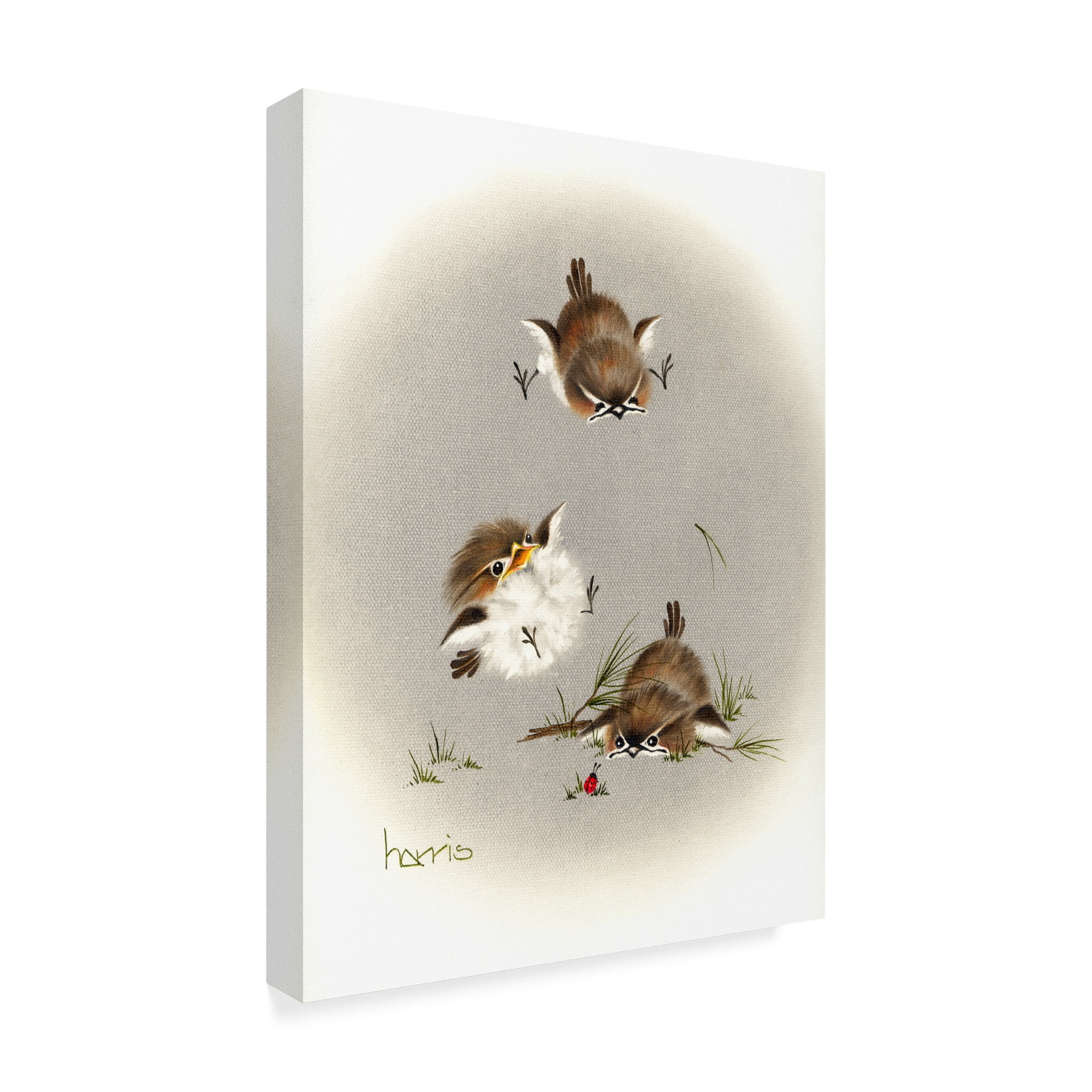 Trademark Fine Art 'Grounded Small Birds' Canvas Art by Peggy Harris