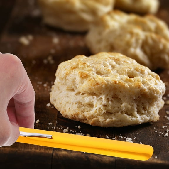 GOOHOCHY 2Pcs Crumb Scraper for and Server in Restaurant and Bar Settings