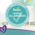 thumbnail image 3 of Pampers Cruisers Diapers - Econo Plus Pack, 3 of 7