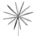 thumbnail image 1 of Vickerman OF160527 Tige de Fleur de Papyrus en Étain&44; 24 & 20 Po., 1 of 1