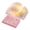 Pink, variant on Gilded Book Lamp, Ideal Gift for Book Lovers, Rechargeable Portable Touch Control Book Light with Vivid Flower Printed Pages, 360° Foldable, Stylish Decor for Home/Library/Bookshelf (Blue)