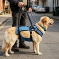 thumbnail image 1 of Tong Adjustable Breathable Support Harness For Assistance Strap For Elderly Perfect For Walking & Stair Climbing, 1 of 5