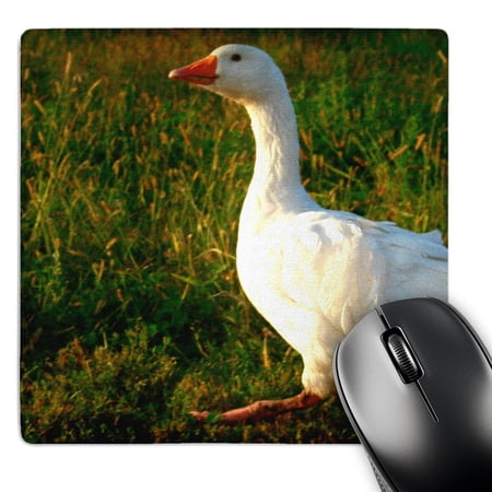 3dRose  White Goose   MousePad price history on PriceWatchPro