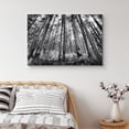thumbnail image 2 of IDEA4WALL Canvas Wall Art Sunlight Filtering Through Trees Leaves Nature Forest Photography Realism Traditional Scenic Dramatic Black and White for Living Room, Bedroom, Office - 24"x36", 2 of 5