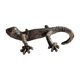 thumbnail image 1 of Potted Bronze Gecko Plant Holder by Janshore - Decorative Suspension Flower Pot for Unique Home & Garden Decor, 1 of 5