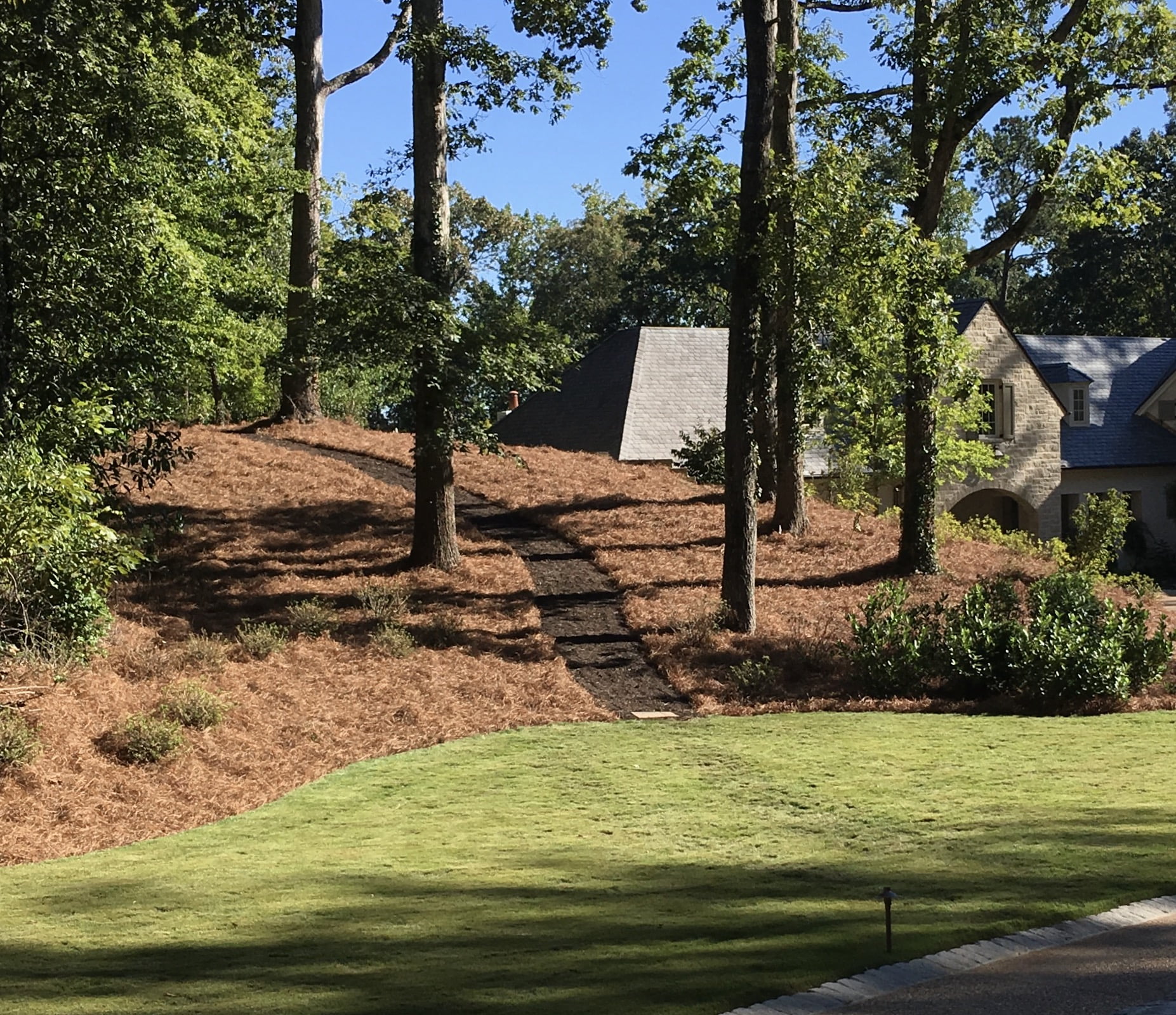 USA Pine Straw Mulch, Premium Long Needle Mulch, Natural Beauty Boost for Garden, Covers 3600 Sqft