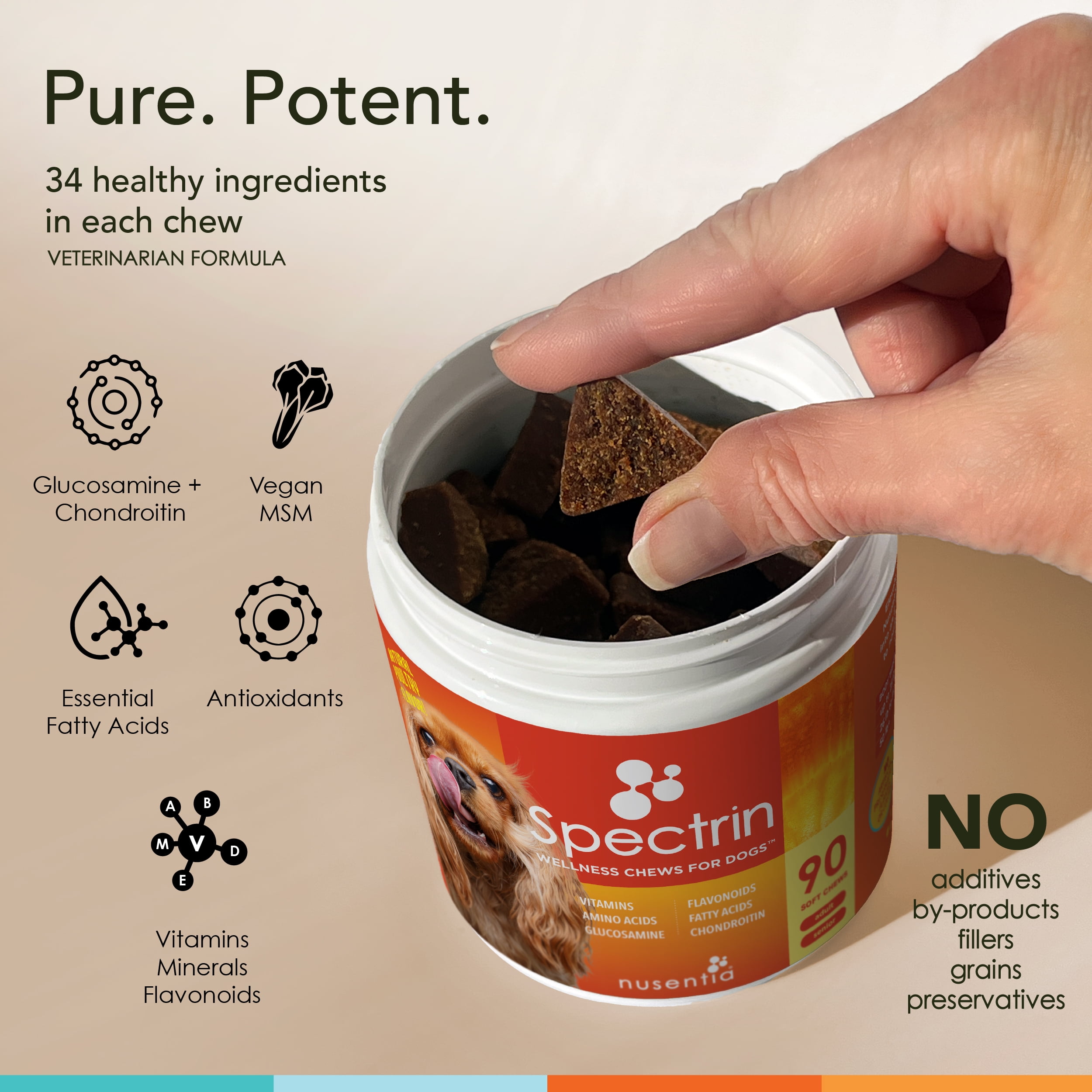 Vitamin Treats with Glucosamine for Dogs : Spectrin Soft Chews (90 CT) :  Hip & Joint Support + Antioxidants