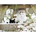 thumbnail image 4 of Estatua de gato de jardín de decoración artística de patio de metal, decoración de estatua de gato negro, adornos de jardín al aire libre, decoración de silueta, regalos de gato, 4 of 5