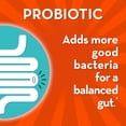 thumbnail image 4 of Align Probiotic, Gut Health + Stress Support with Ashwagandha, 21 Capsules, 4 of 11