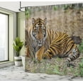 thumbnail image 4 of Ambesonne Orange Cat Shower Curtain, Lying Tiger Photo Print, 69"Wx84"L, Caramel Olive Green, 4 of 4