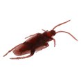 thumbnail image 3 of 10 Faux Cafards Blague Nouveauté Cafards Bugs Look Réel, 3 of 4