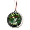 thumbnail image 1 of Argentina Brazil Christmas Tree Ornament Christmas DÃ©cor Silver Ball Ornaments Santa Sleigh Brazil Iguazu Waterfalls Nature Ornament Christmas DÃ©cor Silver Ball Ornaments, 1 of 1