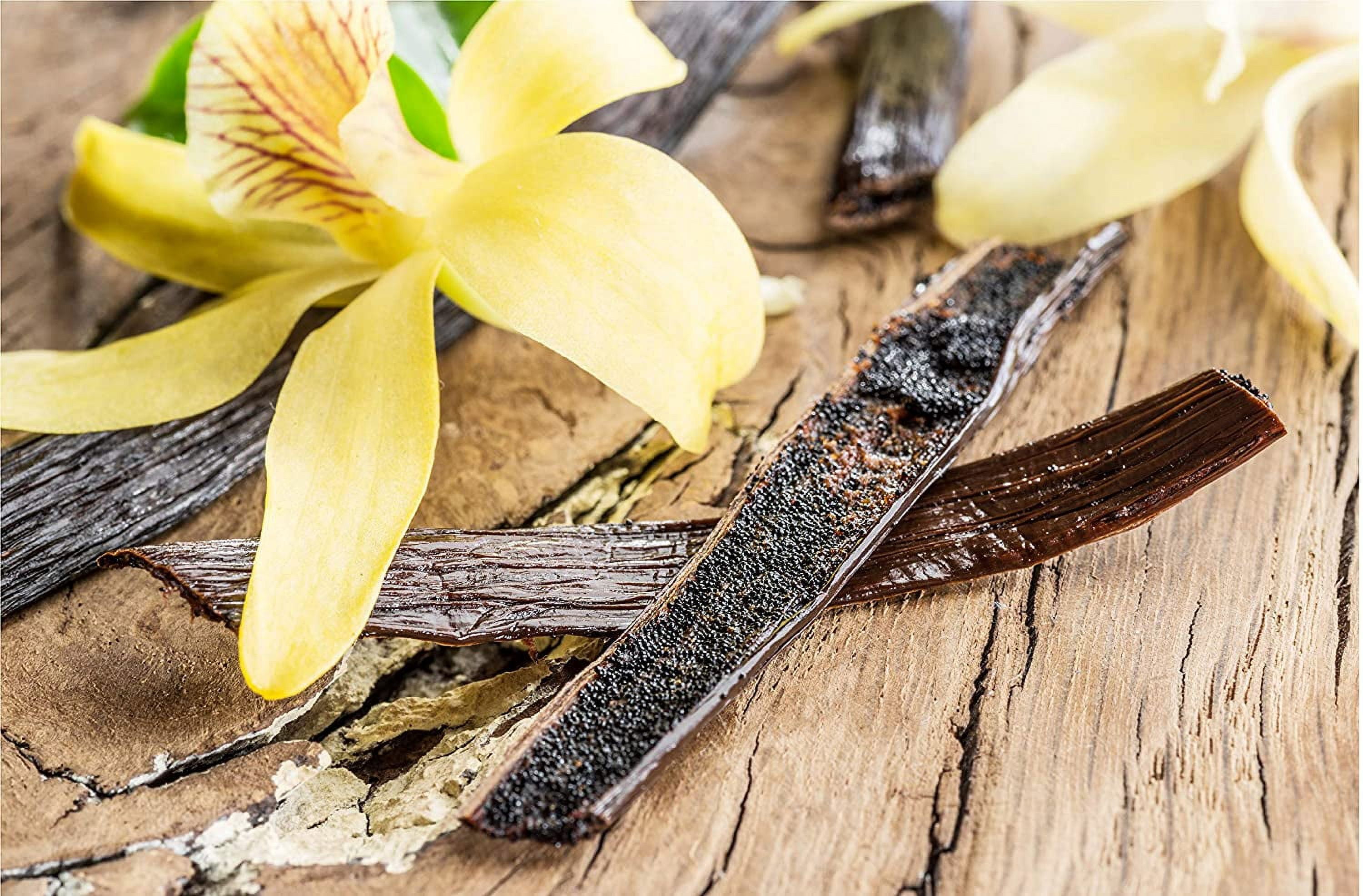 50 Organic Madagascar Vanilla Beans. Whole Grade B Vanilla Pods for Vanilla Extract and Baking