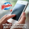 Windex Electronics Wipes, PreMoistened, Provides StreakFree Shine, 25