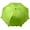 Green, variant on Ludlz 80x120cm Soft Fluffy Shaggy Warm Bed Sofa Bedspread Bedding Sheet Throw Blanket