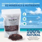 Purple Sea Moss | Irish Moss | Wildcrafted from St. Lucia | 100% Natural | Makes Over 200oz Seamoss Gel - 16oz