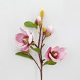 thumbnail image 1 of Flores de magnolia artificiales de tacto real de 45 cm para arreglos florales, envoltura de regalos, ramos de flores, decoración del hogar/oficina, paquete de 2, rosa roja oso de fresa Electrónica, 1 of 6