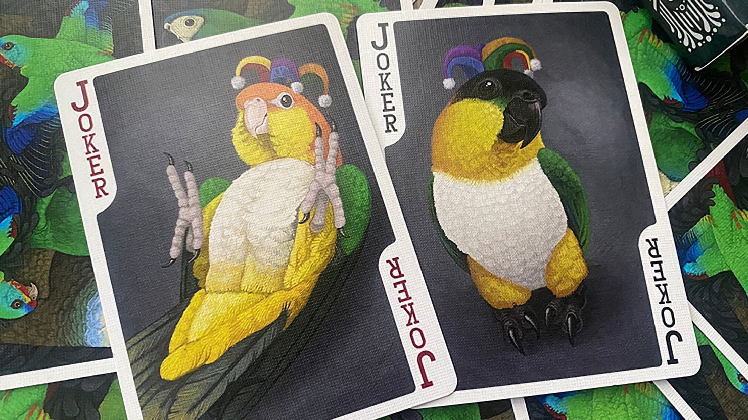 Parrot Prototype Playing Cards by Renee LeCompte