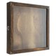 thumbnail image 2 of Vintage Style Transparent Insect Specimen Display Box for Plant, Dried Flower Collections & Collectibles – Dustproof Storage Case for Organizing, 2 of 5