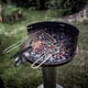 thumbnail image 3 of DQrwqpou 2 Uds Cepillo para Parrilla Cerdas Alambre Acero Inoxidable Cepillos Triangulares Kit Barbacoa Limpiador, 3 of 8
