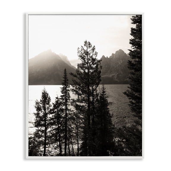 Stupell Industries Farmhouse Trees & Lake View White Framed Giclee Art, 16 x 20, by Daniel Sproul