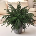 thumbnail image 2 of TETOU 18" Christmas Norfolk Pine Branches Artificial Norfolk Pine Stem DIY Wreaths Home Decor 6pcs, 2 of 7