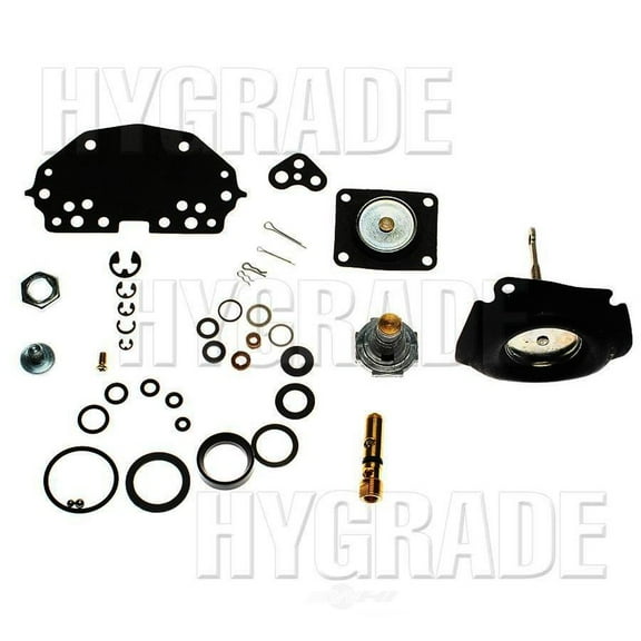 Carburetor Repair Kit