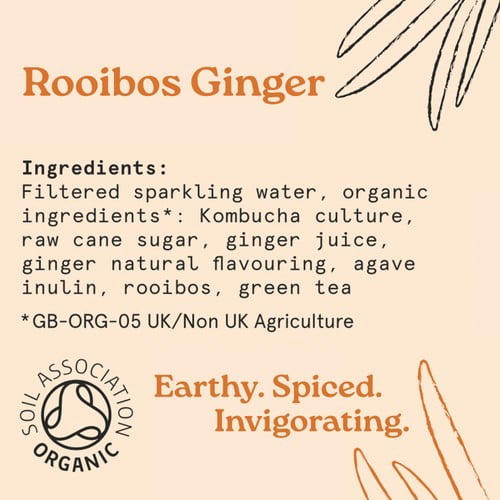 HOLOS Organic Sparkling Tea Rooibos Ginger 250ml, British Import (Pack of 6)
