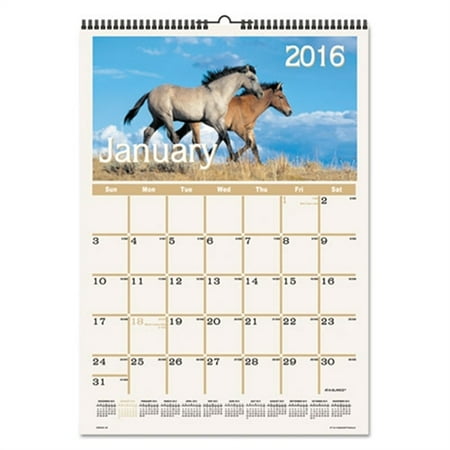 at a glance horses monthly wall calendar 12 x 17 2016 dmw40128