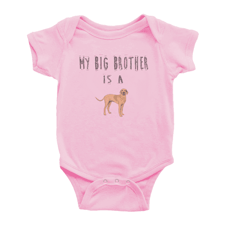 

My Big Brother Is A Vizsla Dog Funny Baby Clothing Bodysuits Boy Girl Unisex