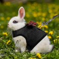 thumbnail image 2 of Guinea Pig Harness And Leash Soft Mesh Small Pet Harness With Bowknot, 2 of 3
