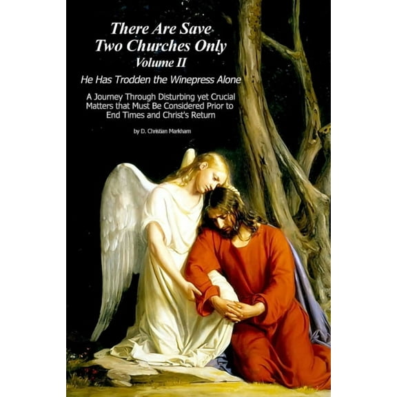 There Are Save Two Churches Only, Volume II, (Paperback)