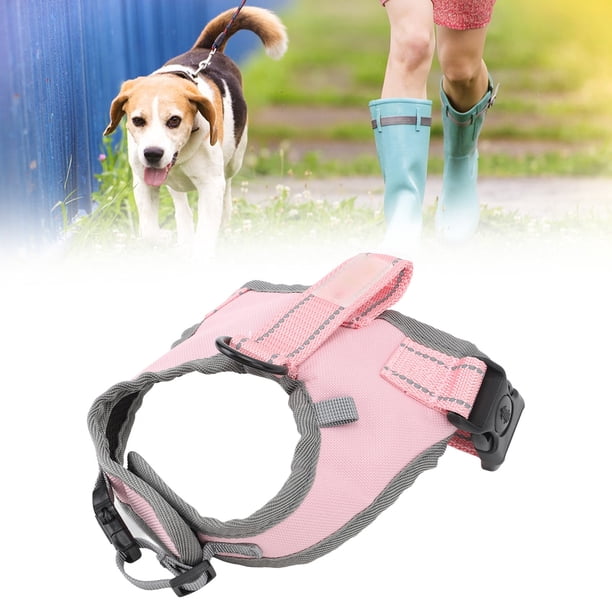 Chaleco Reflectante Ajustable para Perros con Correa para Perros de Tamaño Mediano ANGGREK Otros