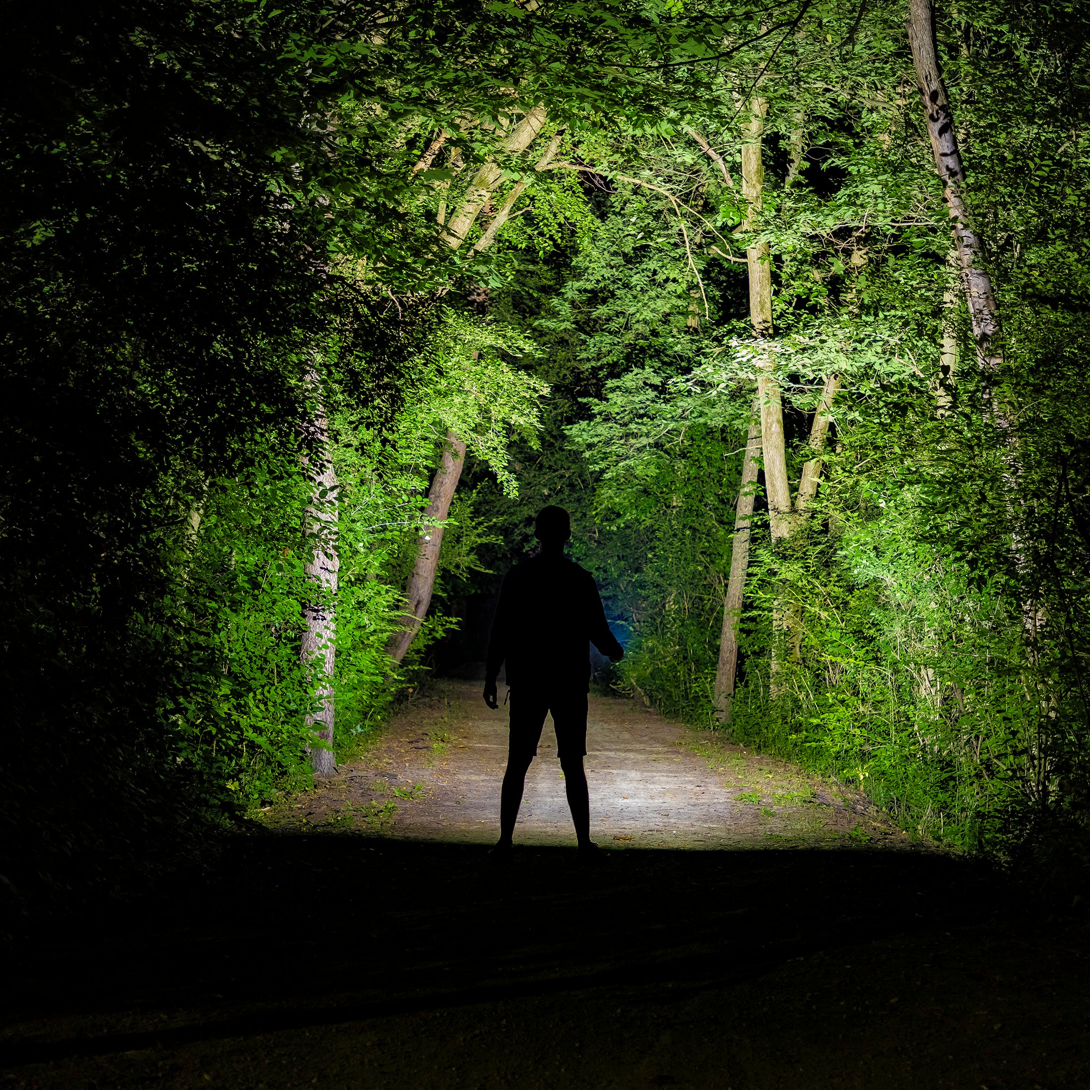 Litezall Briteband Rechargeable Led Headlamp photo 3
