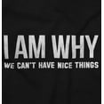 thumbnail image 2 of Why We Cant Have Nice Things Funny Men's Graphic T Shirt Tees Brisco Brands S, 2 of 4