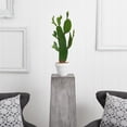 thumbnail image 2 of Nearly Natural 27" Plastic/Polyester Cactus Artificial Plant, Green, 2 of 4