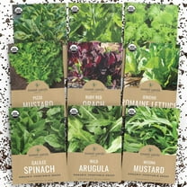 Organic Heat Tolerant Lettuce Seeds Variety MVR1 Pack - 9 Packs - 2025 Season - Galilee Spinach, Wild Arugula, Romaine Lettuce & More! for Indoor & Outdoor Planting (Non-GMO, Certified Organic)