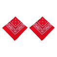 thumbnail image 1 of Naiovety Unisex Poliéster Turbante Bandana Chic Bufanda Cuadrada Paisley Estampado Diadema Senderismo Moderno Pañuelo Regalos Rojo Rojo 2piezas Naiovety CBP263467, 1 of 5