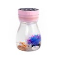 thumbnail image 4 of serony Air Humidifier Seven Lights Mute Humidifiers Large Capacity Portable Humidification Tool Humidification Tool Bedroom Car Office Home Pink, 4 of 9