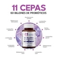 thumbnail image 3 of MegaBiotic 60 Billones UFC con 11 Cepas de Probióticos | Sábila e Inulina de Agave | Suplemento Alimenticio | L. Rhamnosus | Saccharomyces B. |Bifidobacterium | 100 Cápsulas | 570 mg c/u, 3 of 7