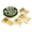 Green, variant on Exquisite Green Classic Disposable Dinnerware Combo Set, 120 Piece, Service for 20
