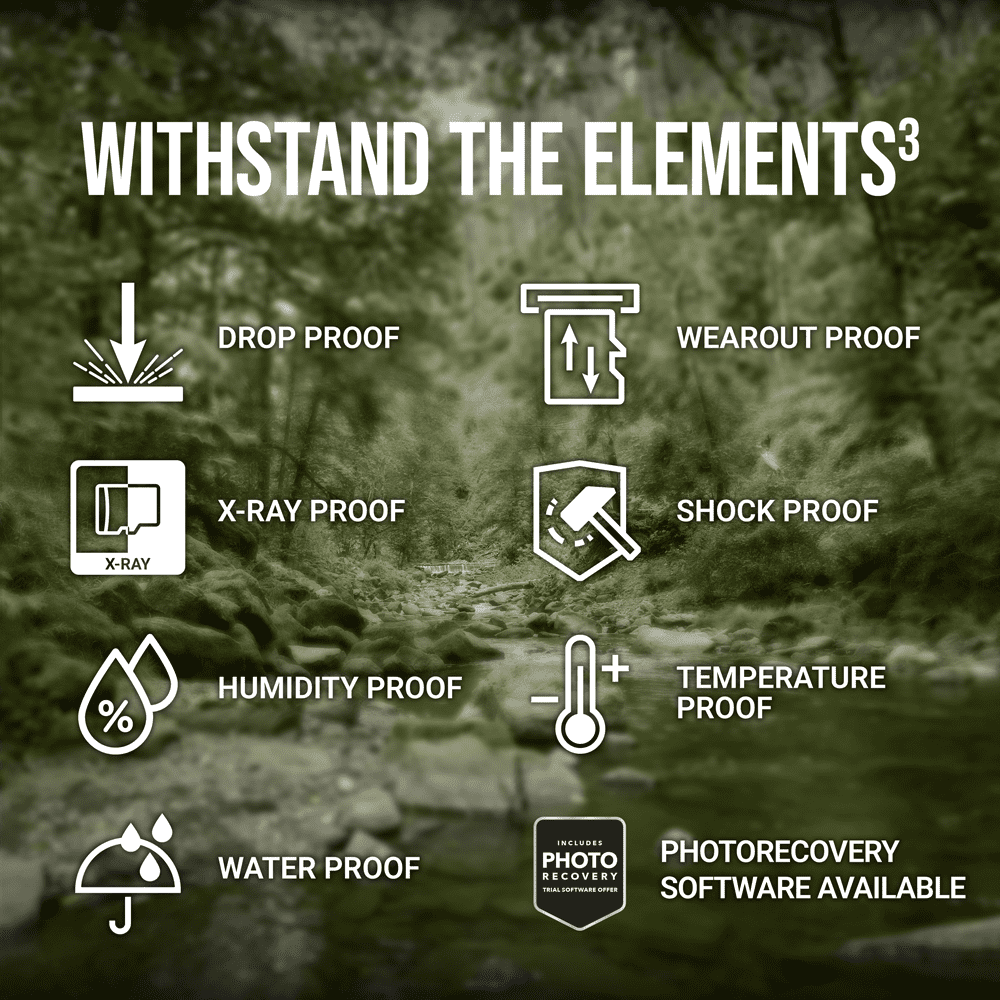 PNY 32GB Elite Class 10 U1 V10 SDHC Trail Camera Flash Card - Read up to 100MB/s, UHS-I, HD Outdoor & Wildlife Content, 2-Pack (Packaging May Vary)