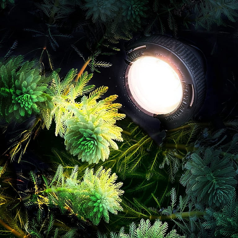 Low Voltage Pond Lights Underwater Pond Lights, Garden Lighting, LED