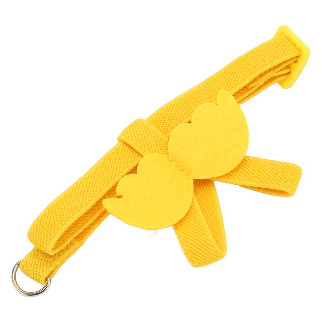 Parrots Leash, Bird Harness Flying Guide Leash Flight Elastic Training Traction Rope Outdoor Flying Training Rope Kit For Bird Parrots