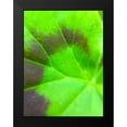 thumbnail image 2 of Grayscale 12x14 Black Modern Framed Museum Art Print Titled - Spiral Leaf I, 2 of 5