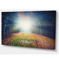 thumbnail image 2 of Rising Sun Over Arched Forest, 2 of 3