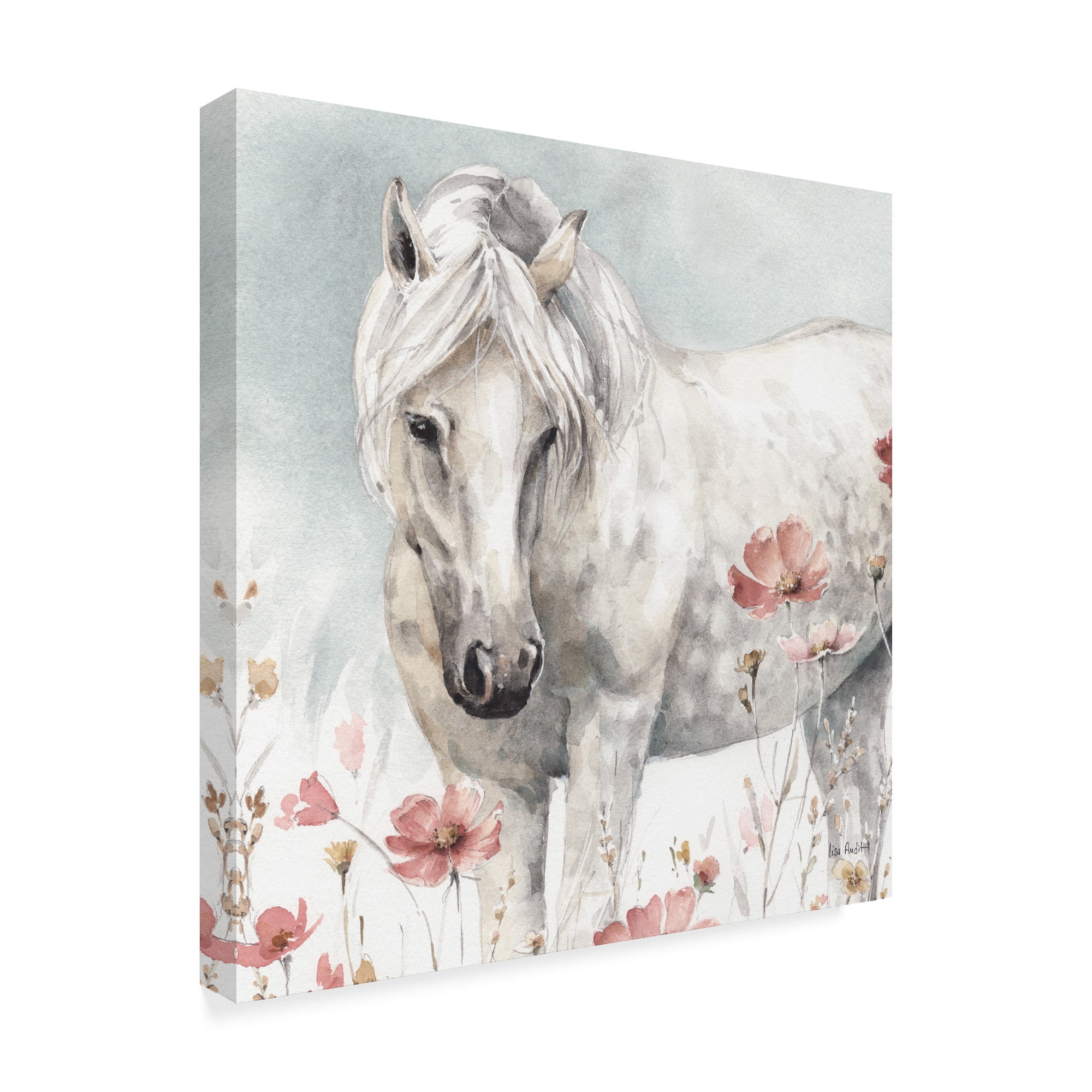 Trademark Fine Art 'Wild Horses V' Canvas Art by Lisa Audit